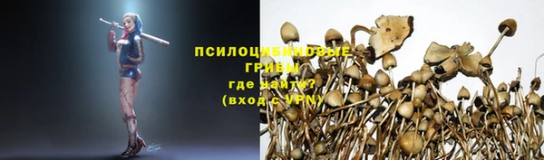 твердый Армянск