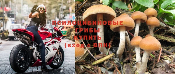 ALPHA PVP Михайлов